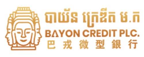 Bayon Credit PLC